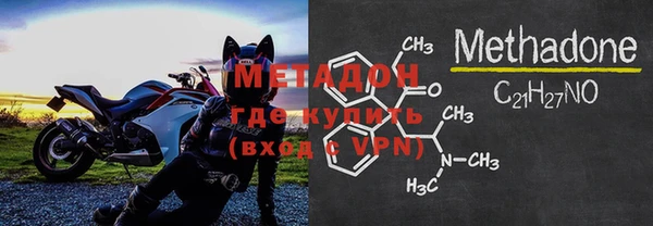 прущие грибы Армянск