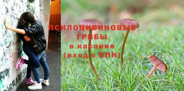 мескалин Алзамай