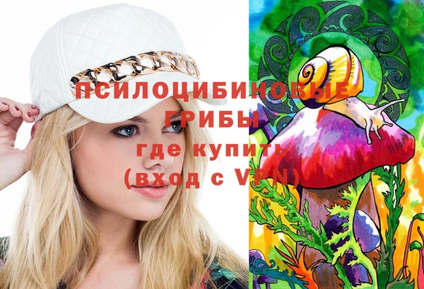 стафф Арсеньев