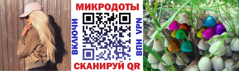 Галлюциногенные грибы ЛСД Талица